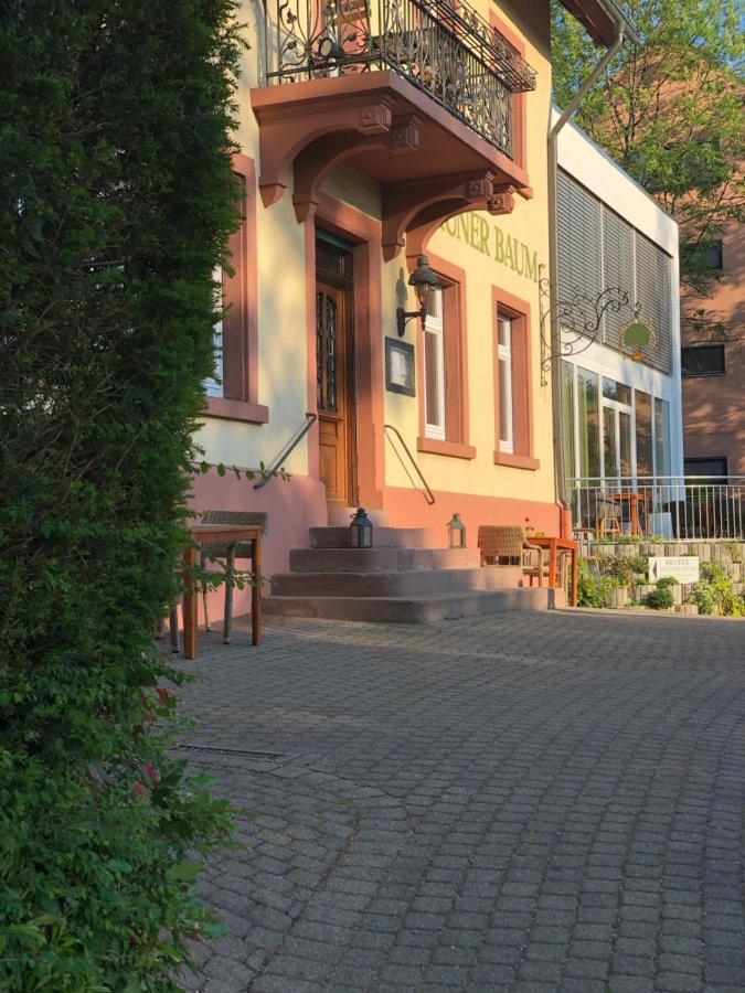 Hotel & Restaurant Gruener Baum Merzhausen Exterior foto